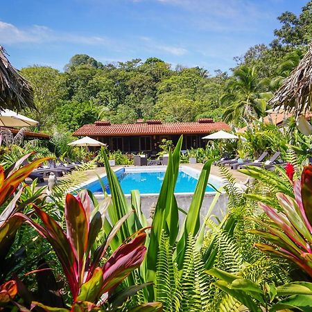 Island Plantation (Adults Only) Ξενοδοχείο La Gruta Εξωτερικό φωτογραφία